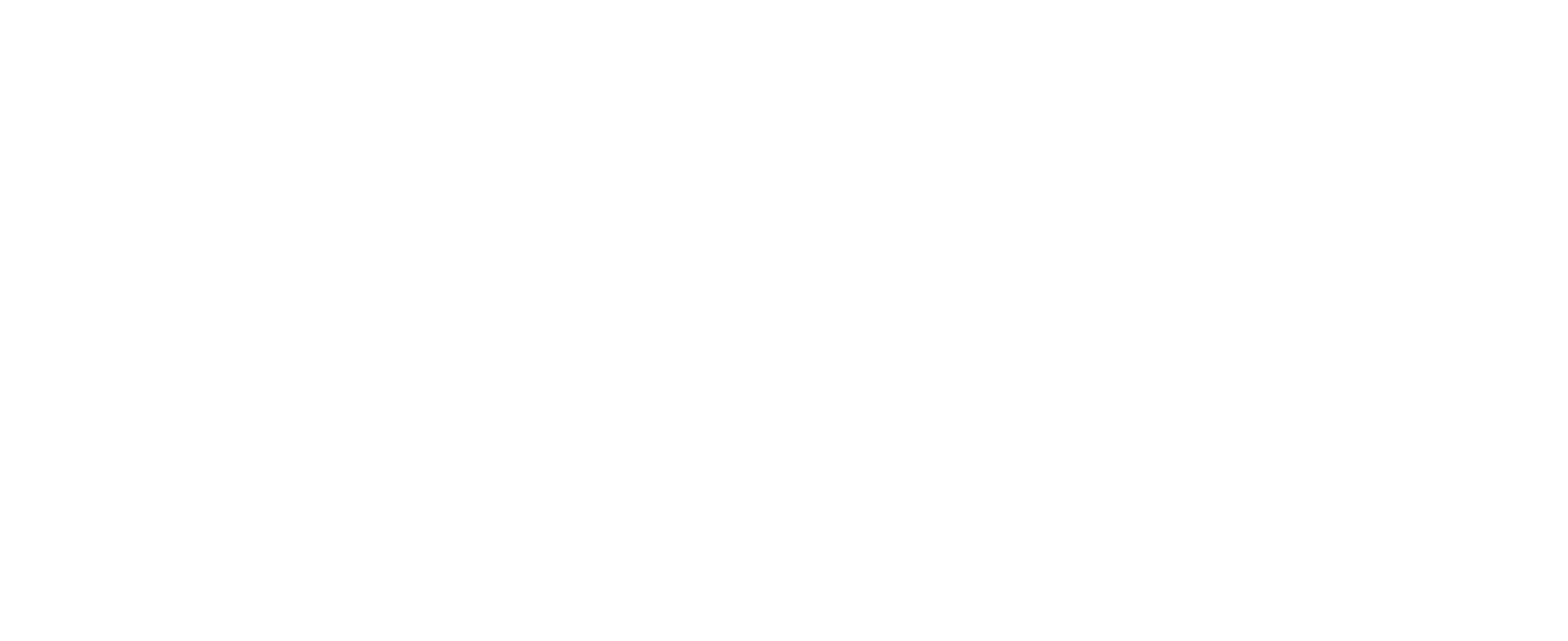 Nicklies%20Logo%20white